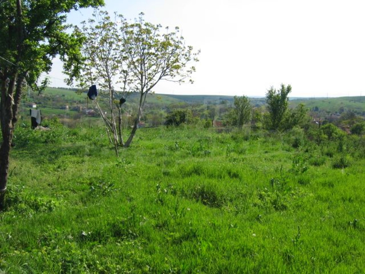 Gallery Picture 6