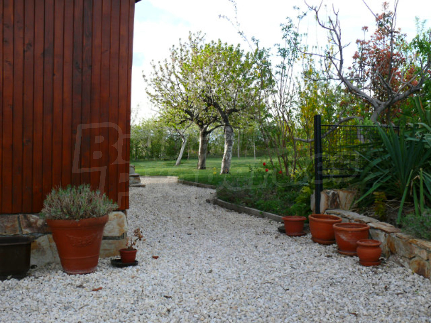 Gallery Picture 27