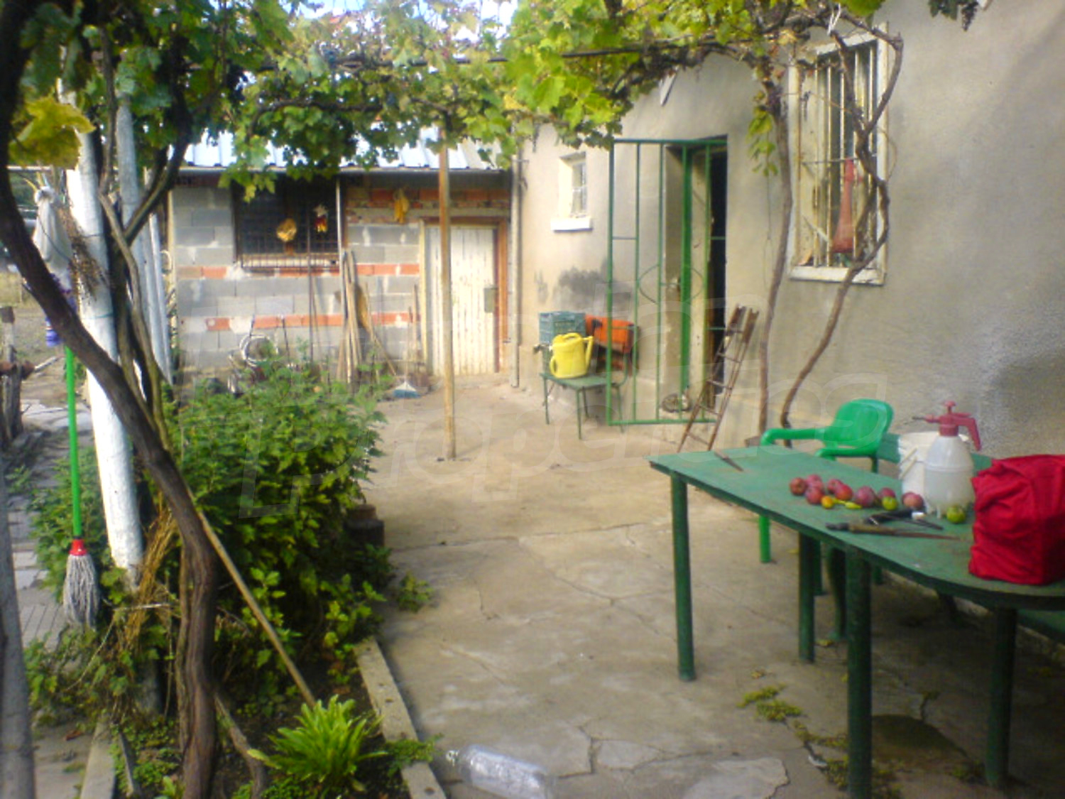 Gallery Picture 5