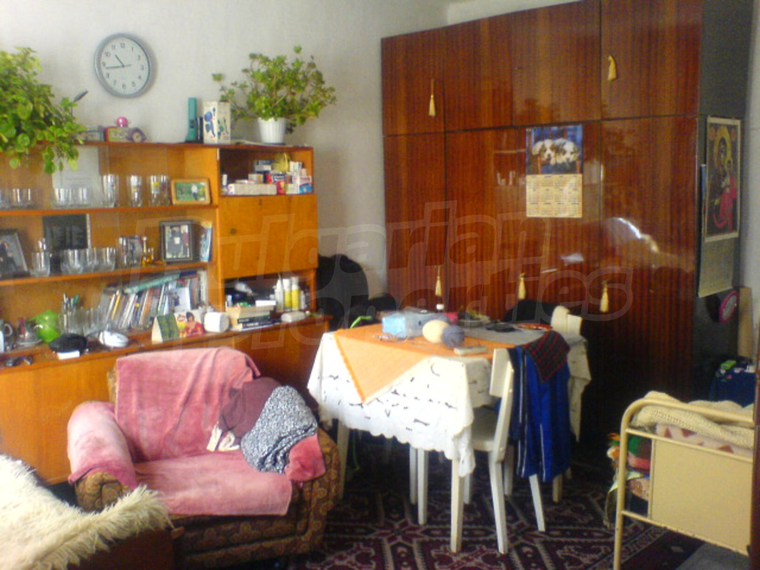 Gallery Picture 8