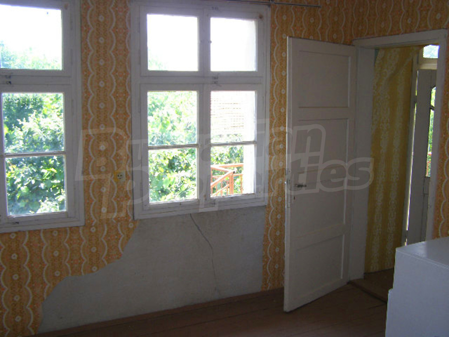 Gallery Picture 10