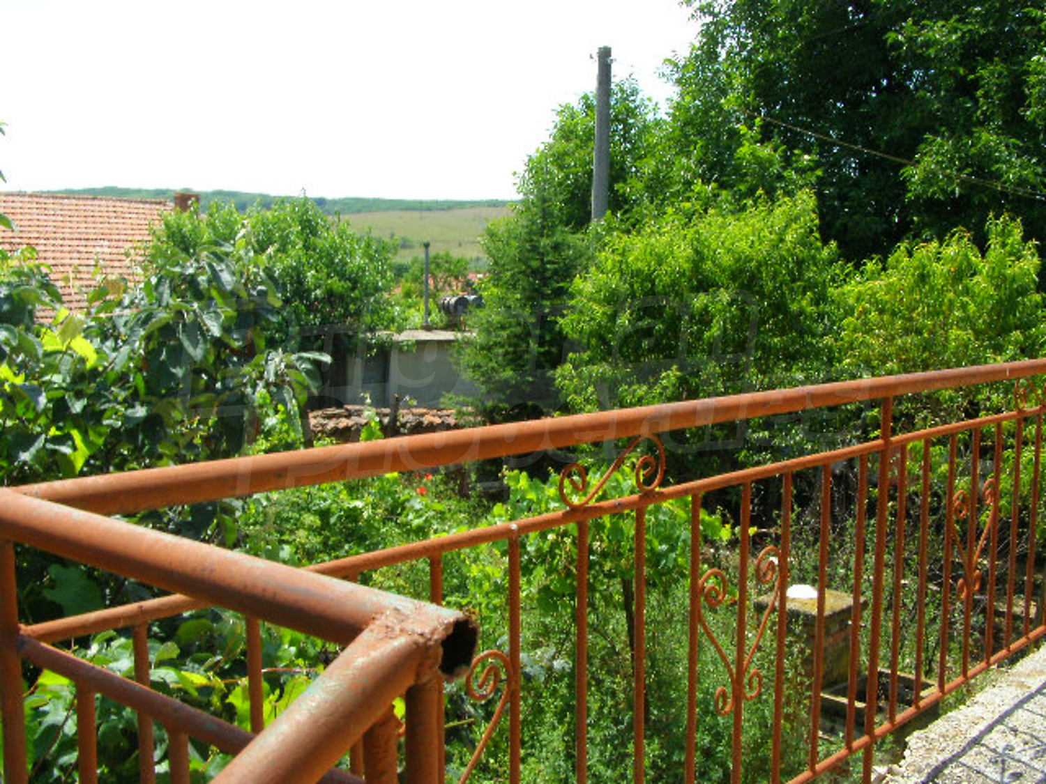 Gallery Picture 11