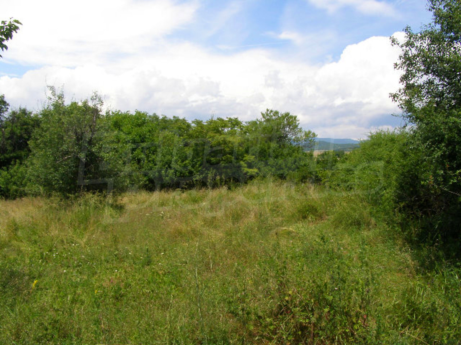 Gallery Picture 18