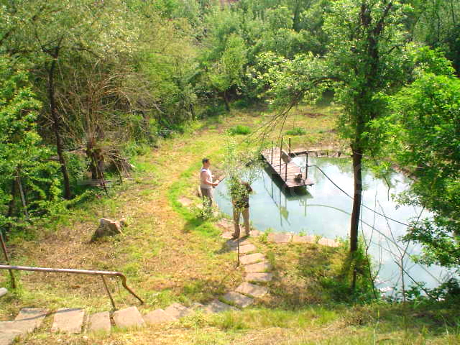 Gallery Picture 15