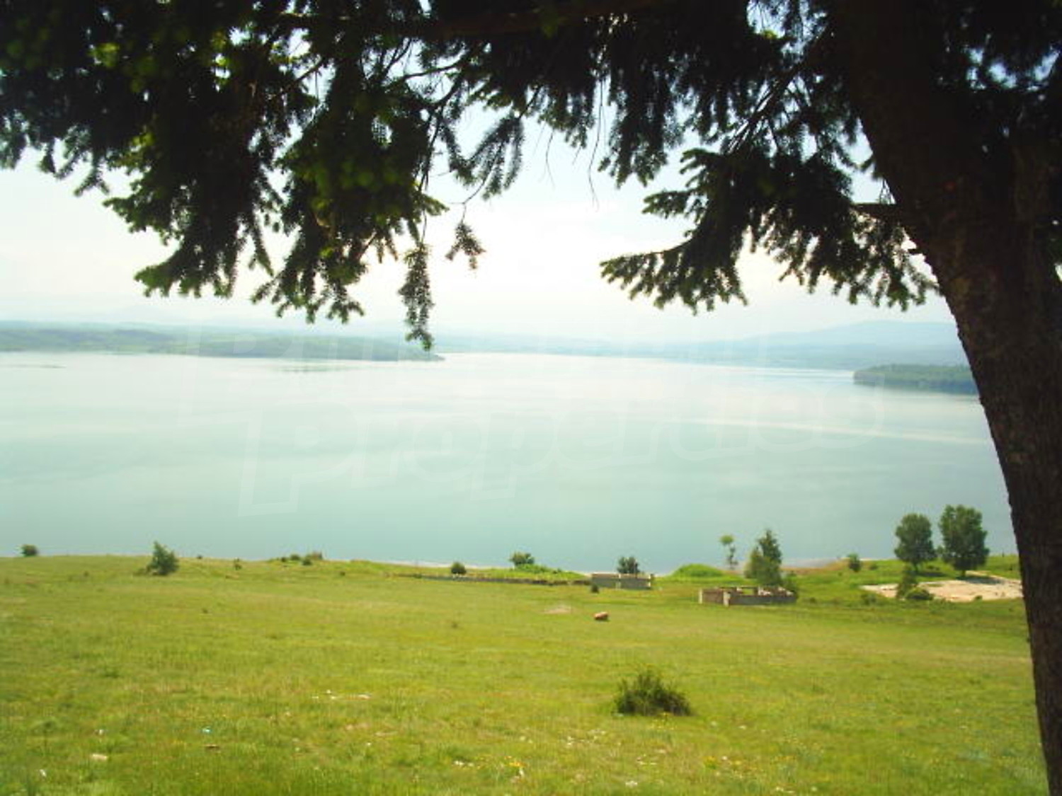 Gallery Picture 16