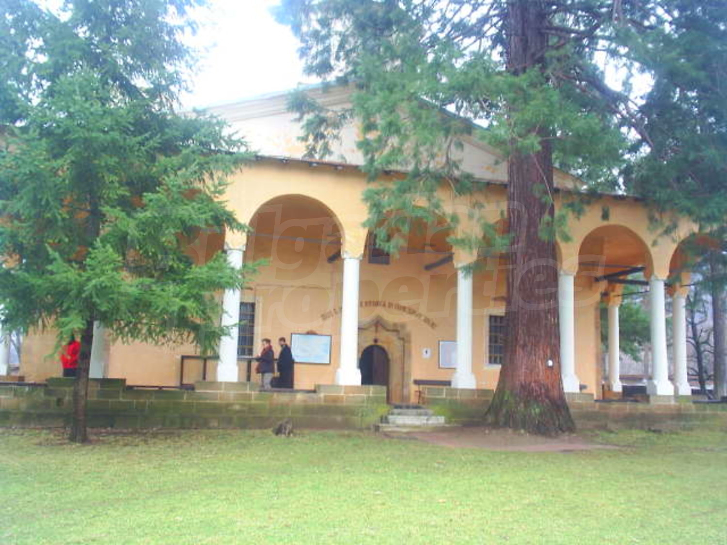 Gallery Picture 14
