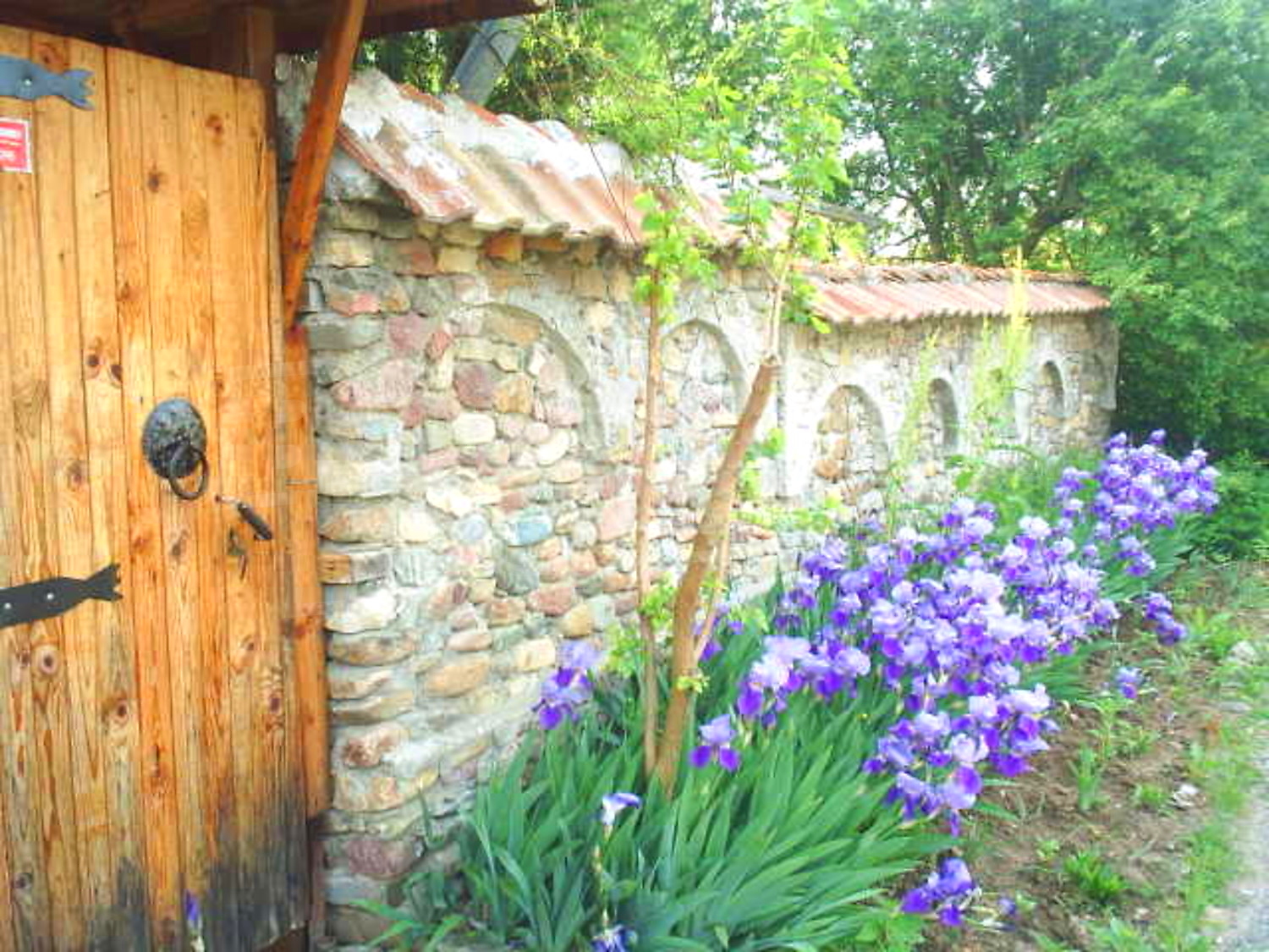 Gallery Picture 11