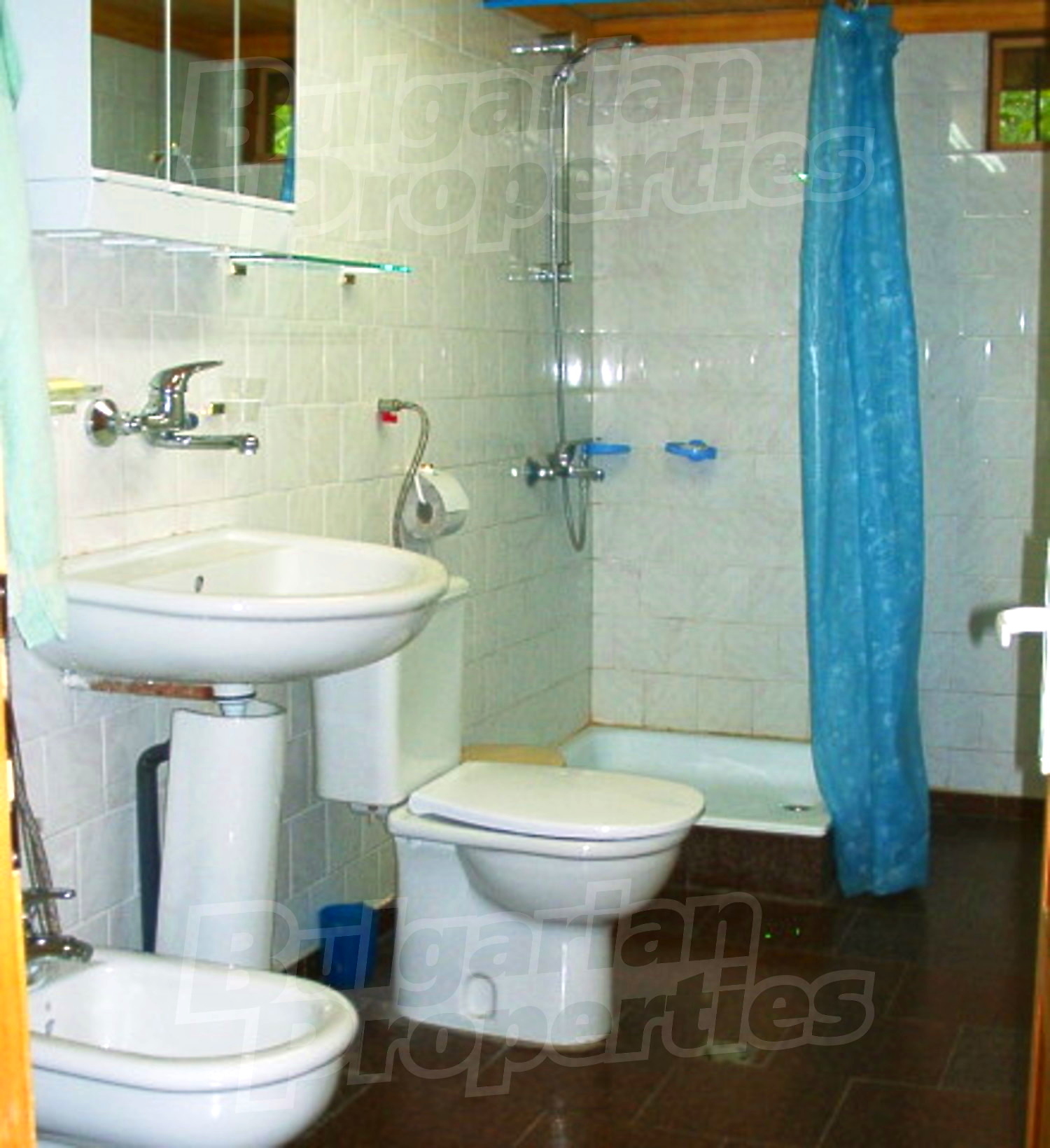 Gallery Picture 7