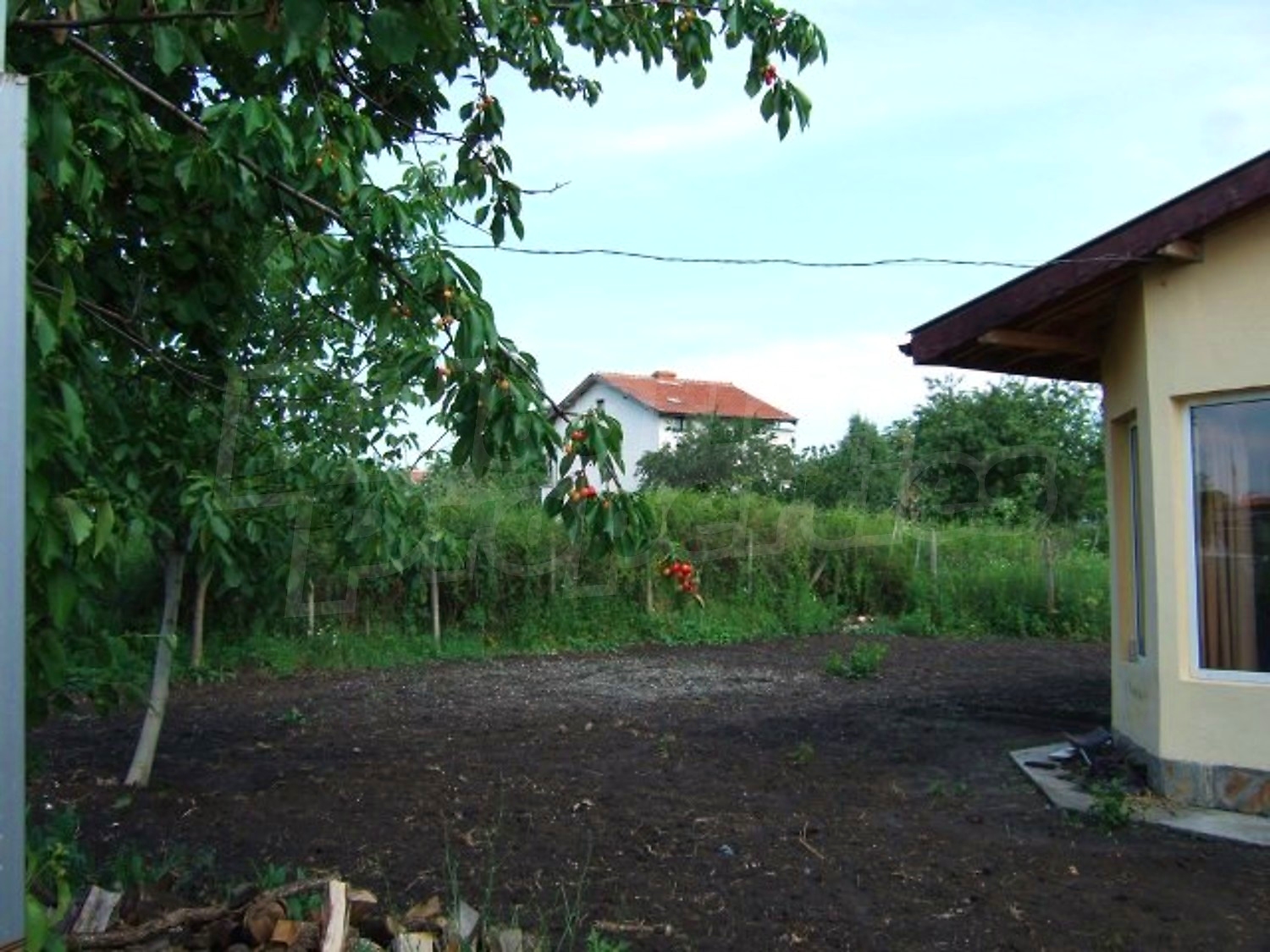Gallery Picture 12