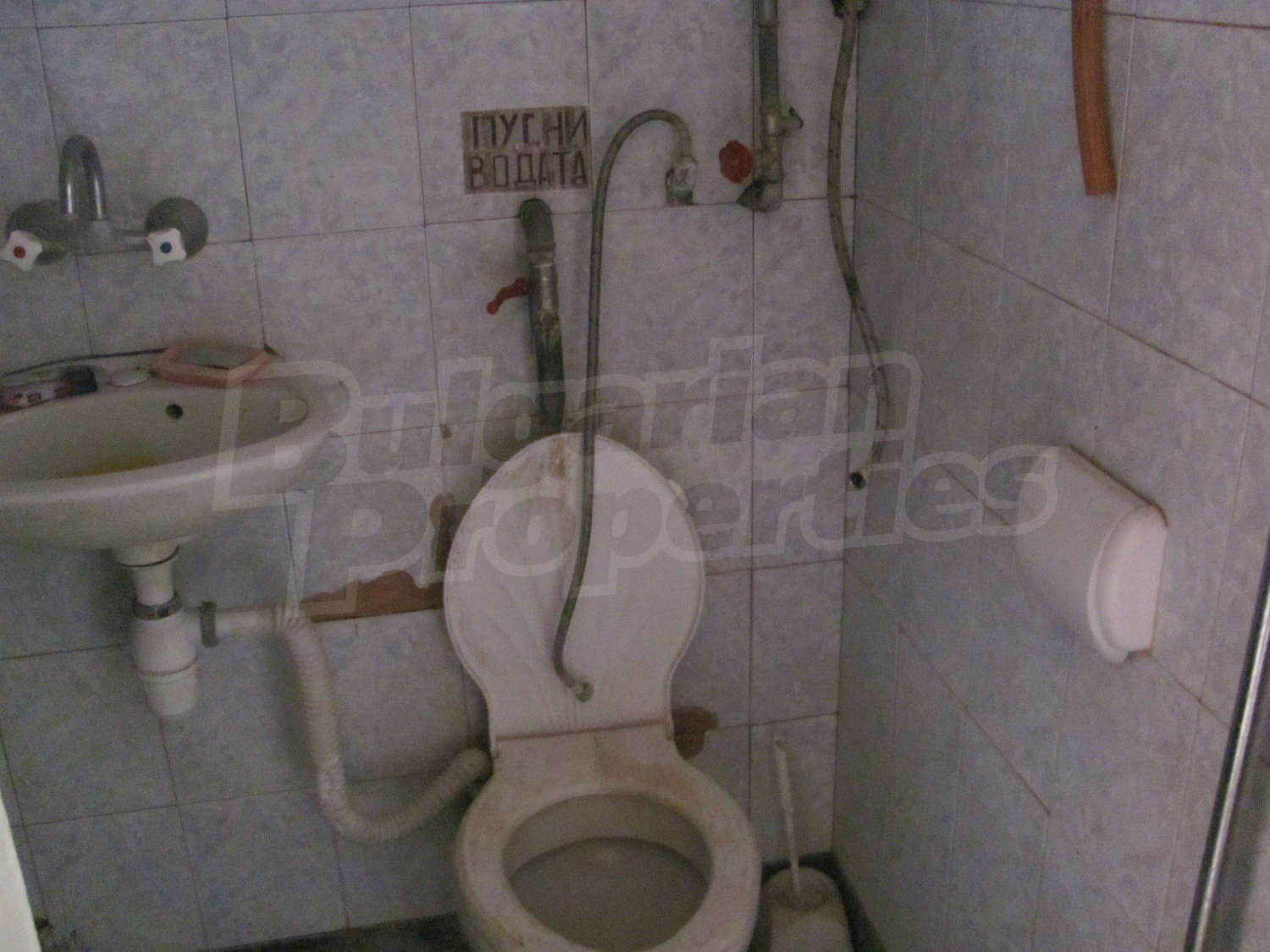 Gallery Picture 24