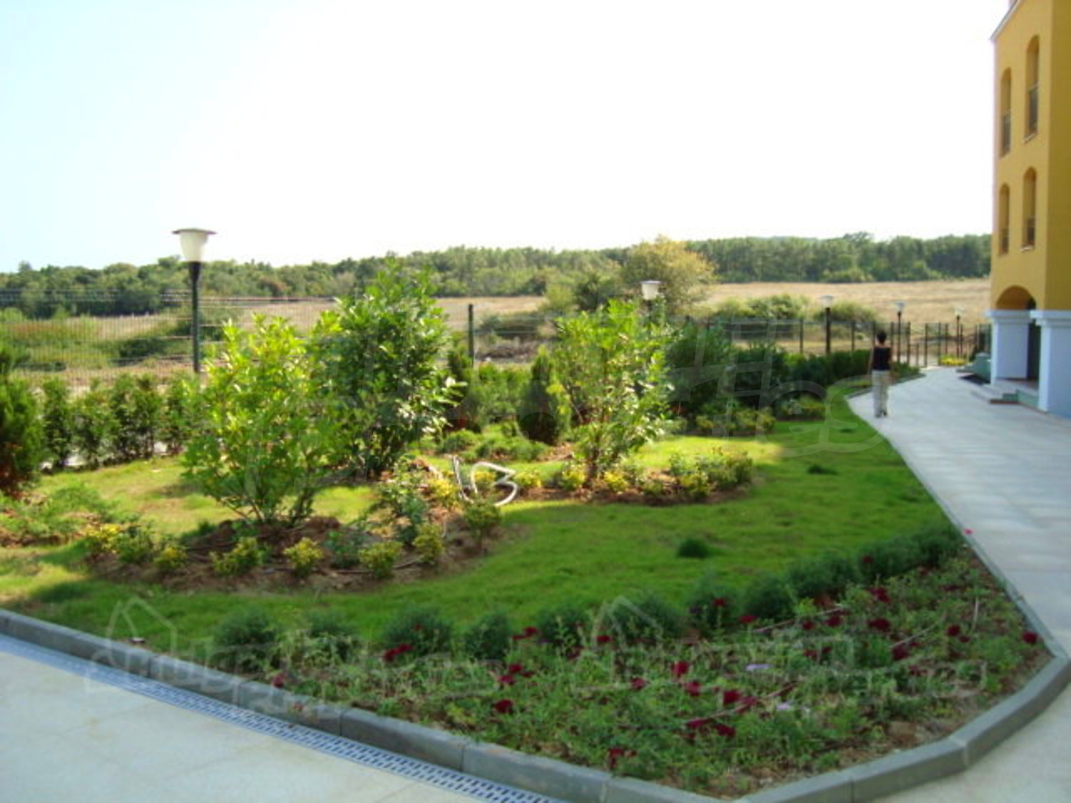 Gallery Picture 16