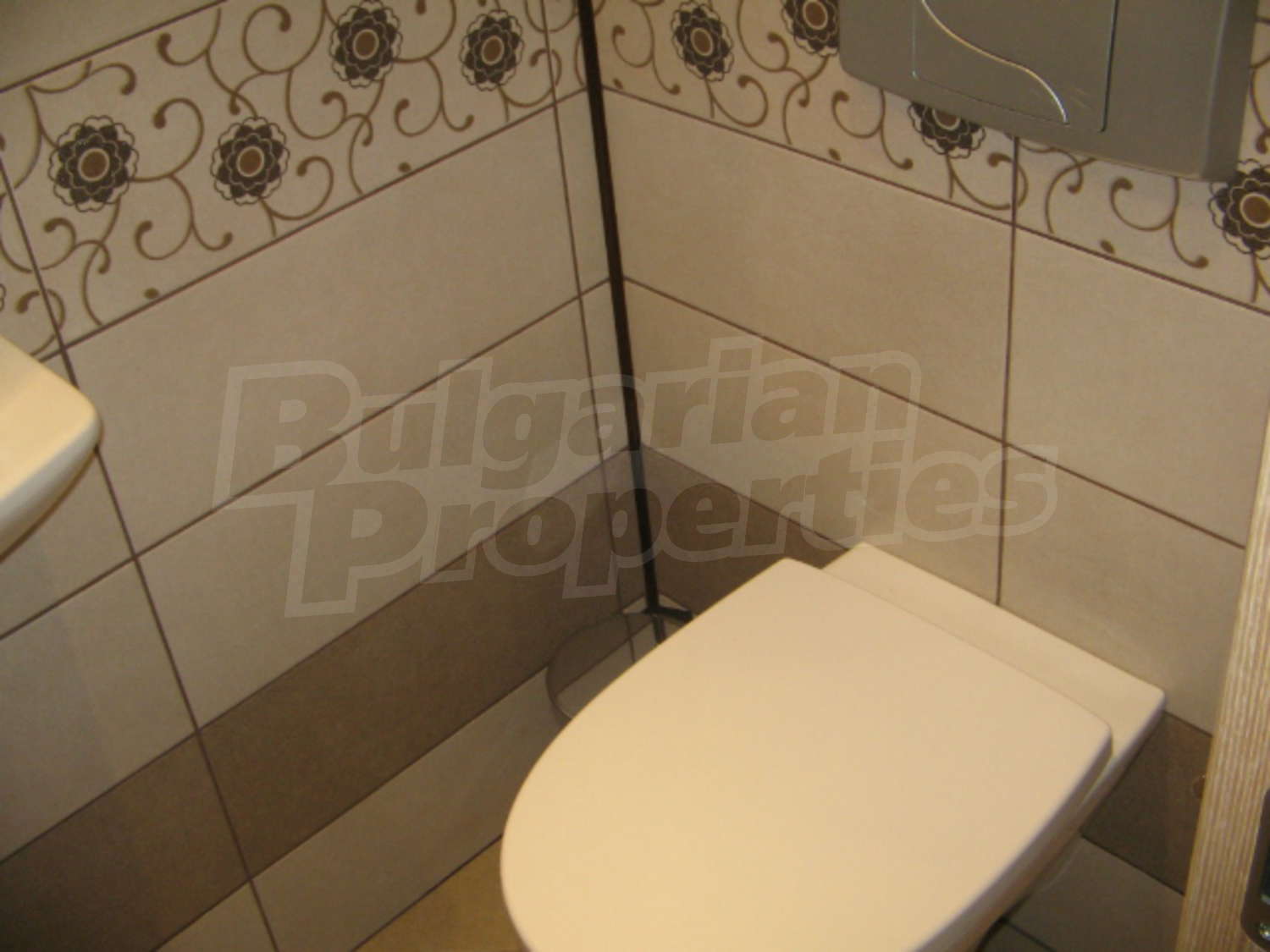 Gallery Picture 17