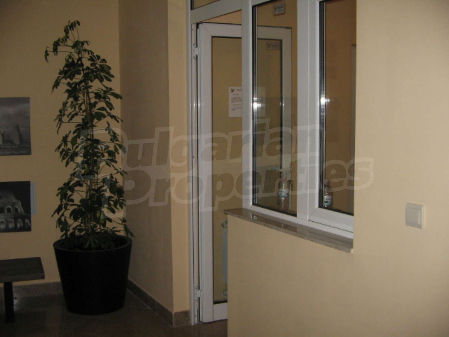 Gallery Picture 23