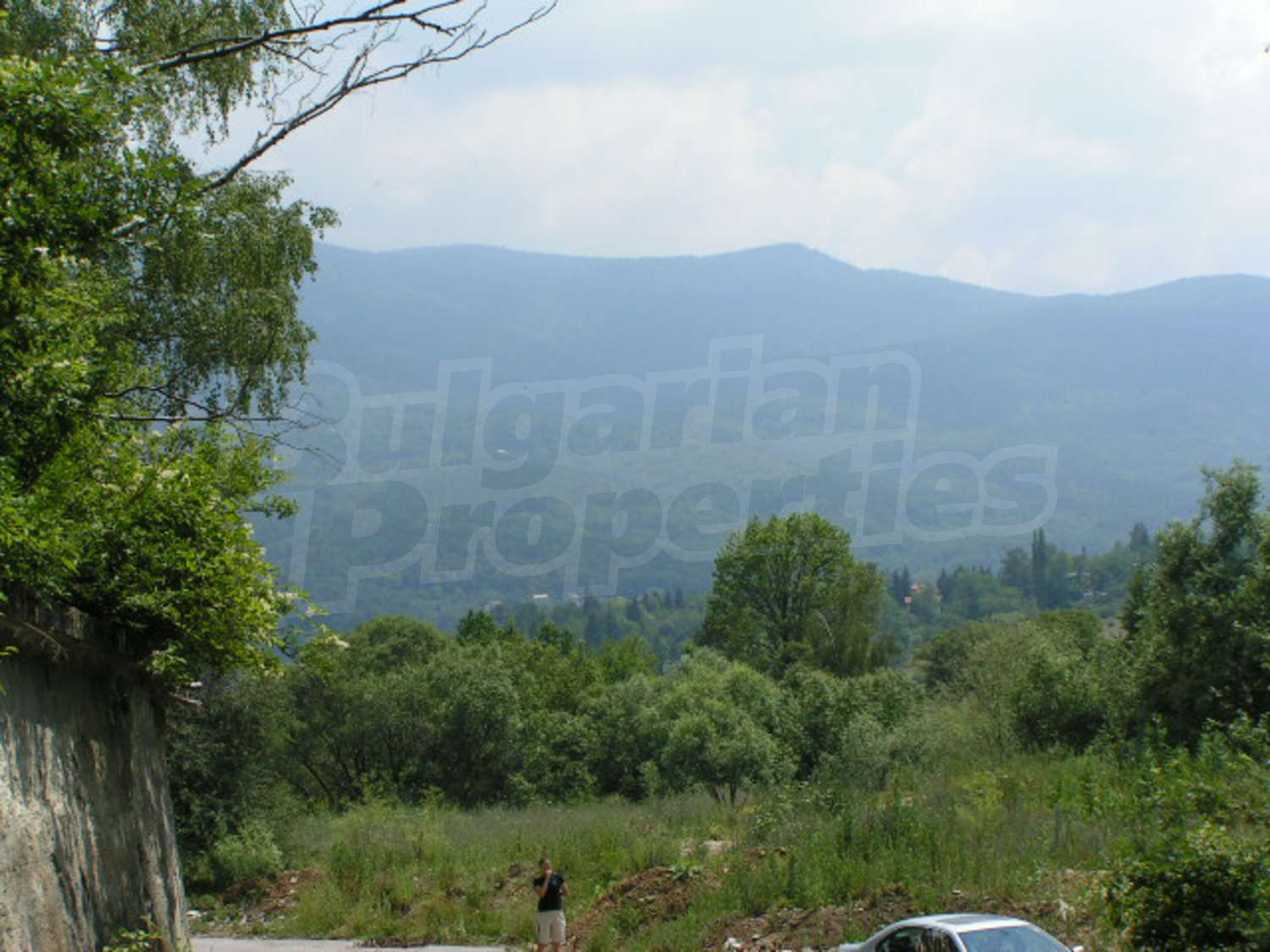 Gallery Picture 7