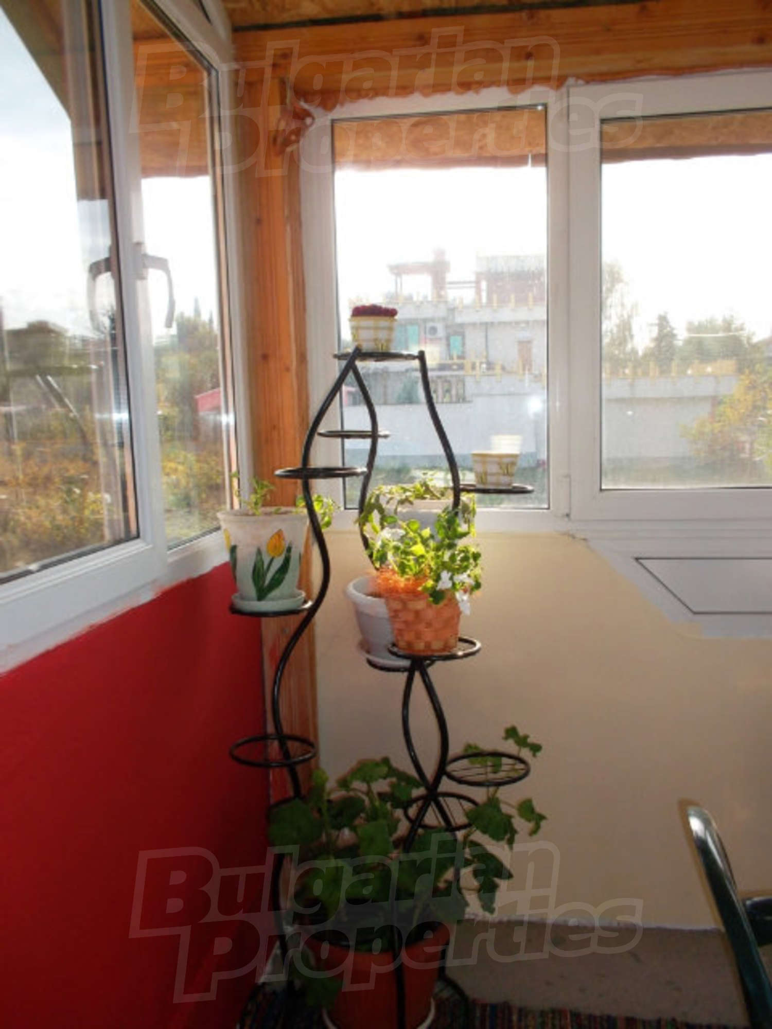 Gallery Picture 11