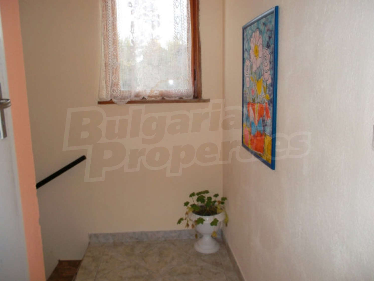 Gallery Picture 23