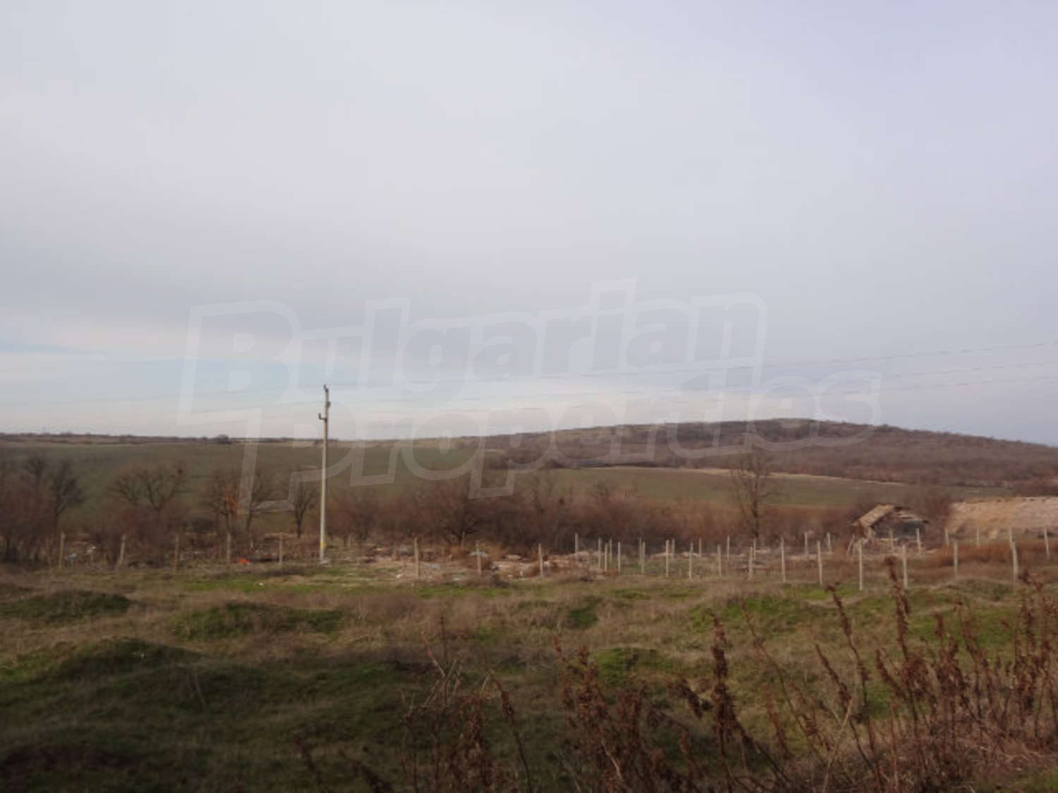 Gallery Picture 26
