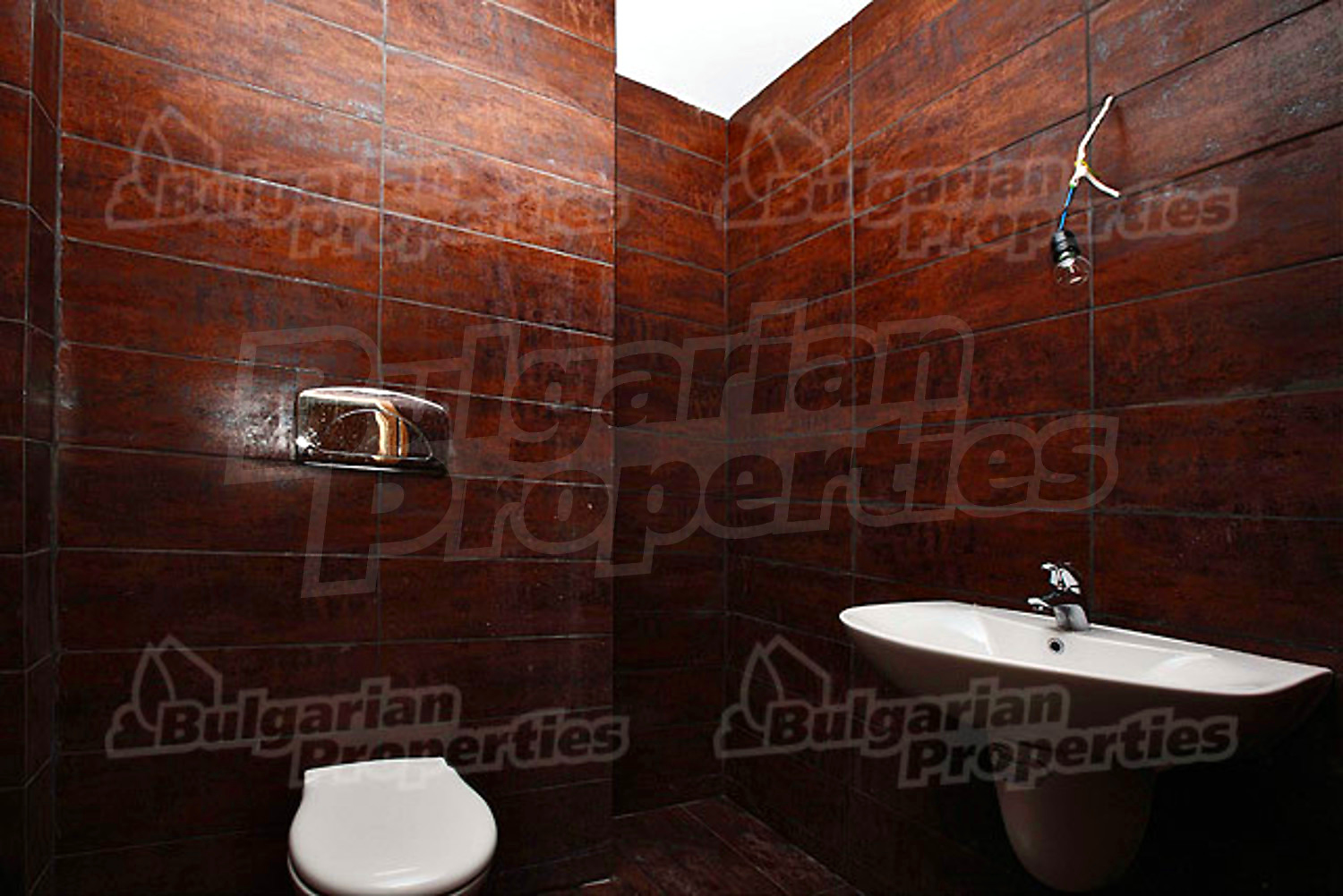 Gallery Picture 7