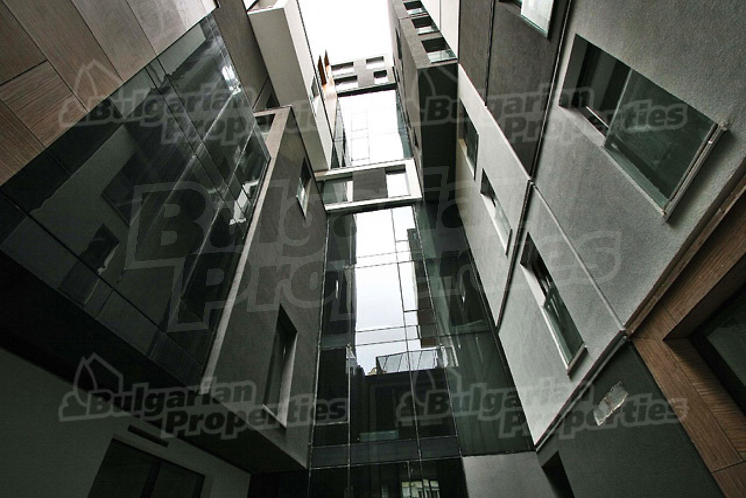 Gallery Picture 9