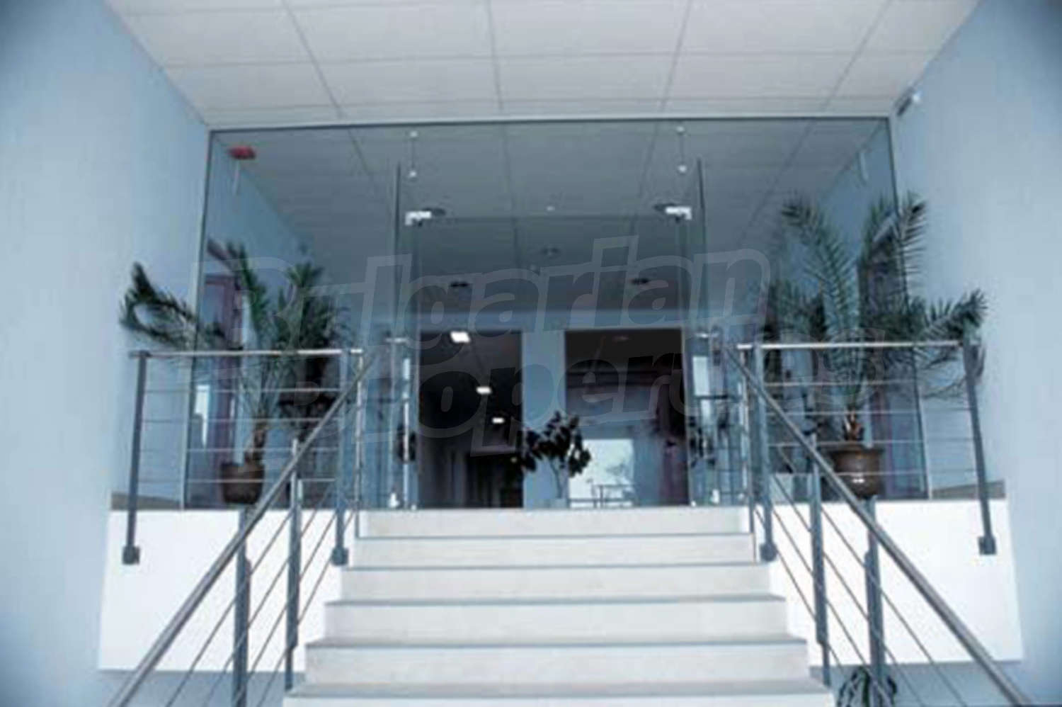 Gallery Picture 6