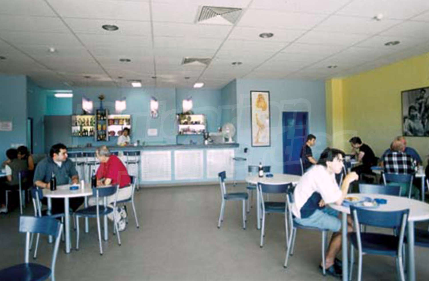 Gallery Picture 7