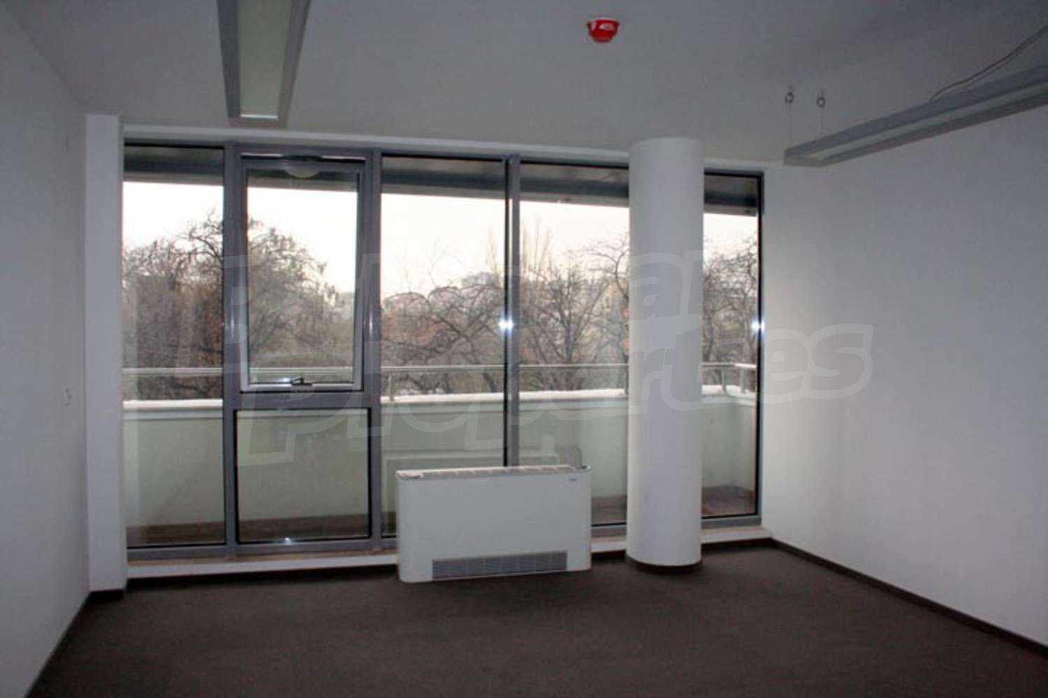 Gallery Picture 14