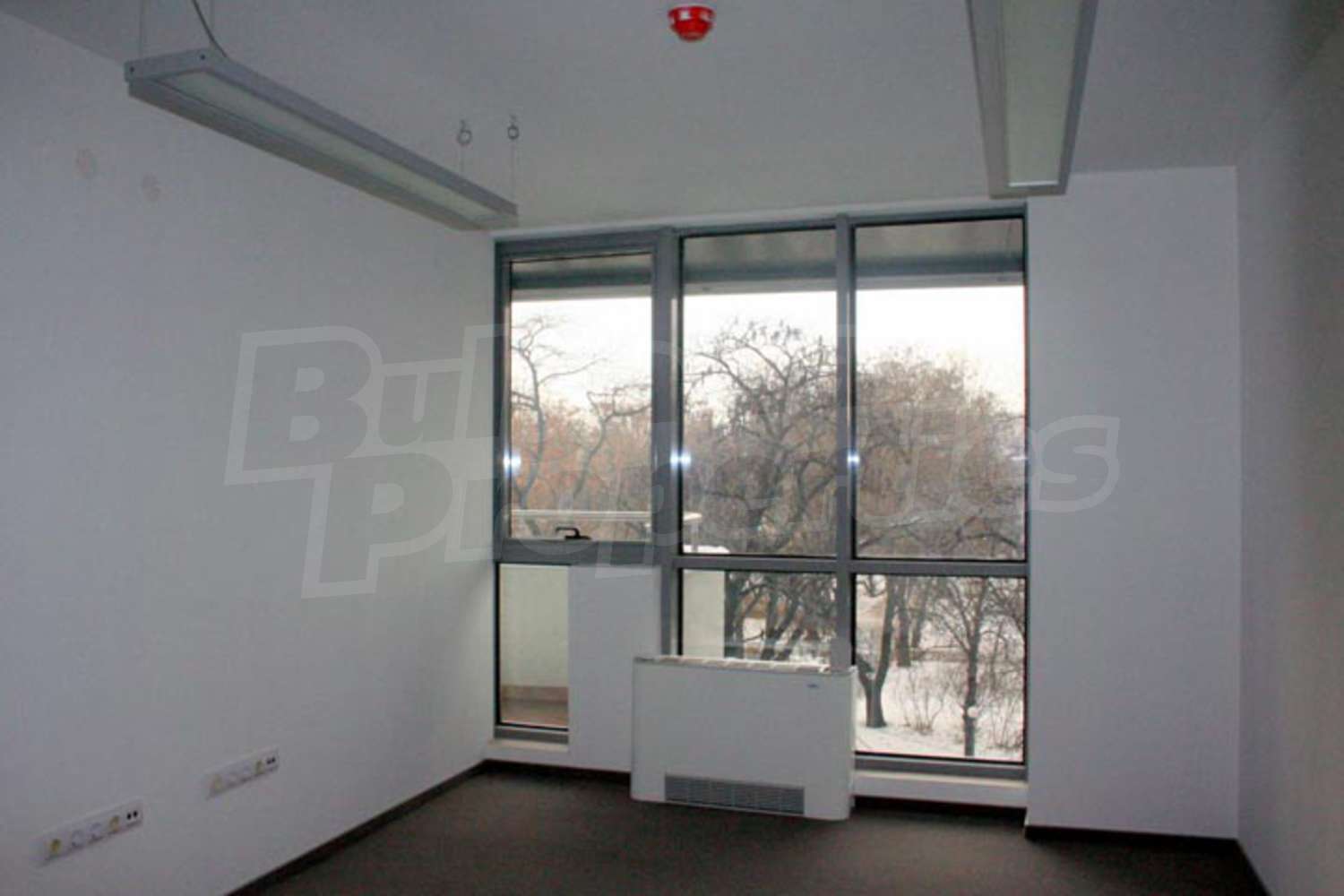 Gallery Picture 16