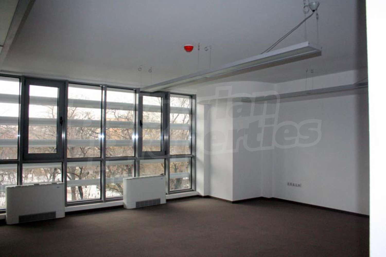 Gallery Picture 17