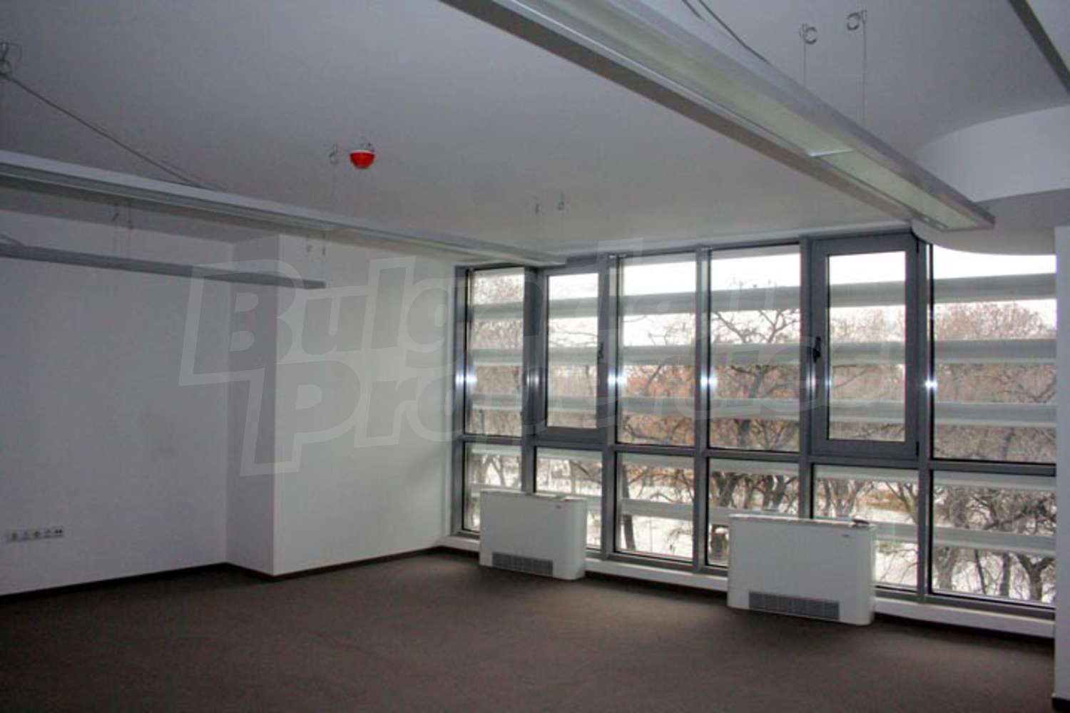 Gallery Picture 18