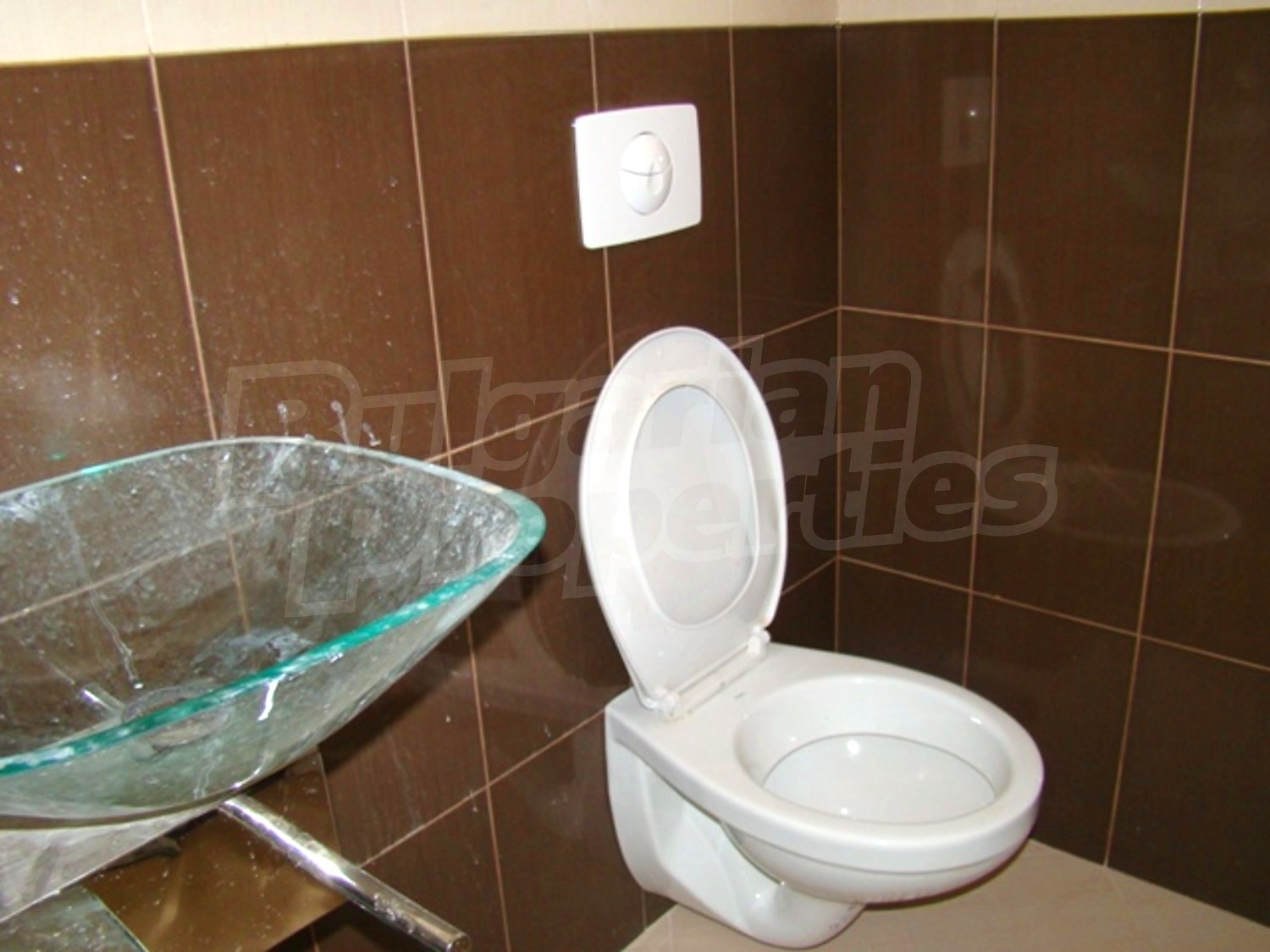 Gallery Picture 16