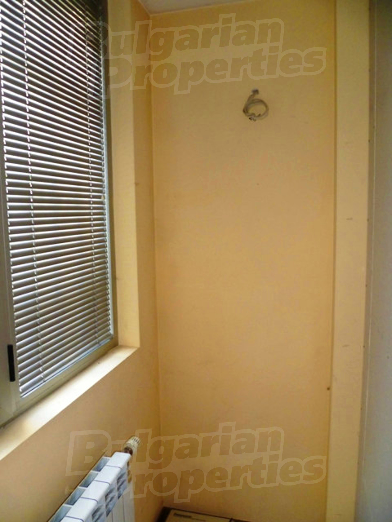 Gallery Picture 19