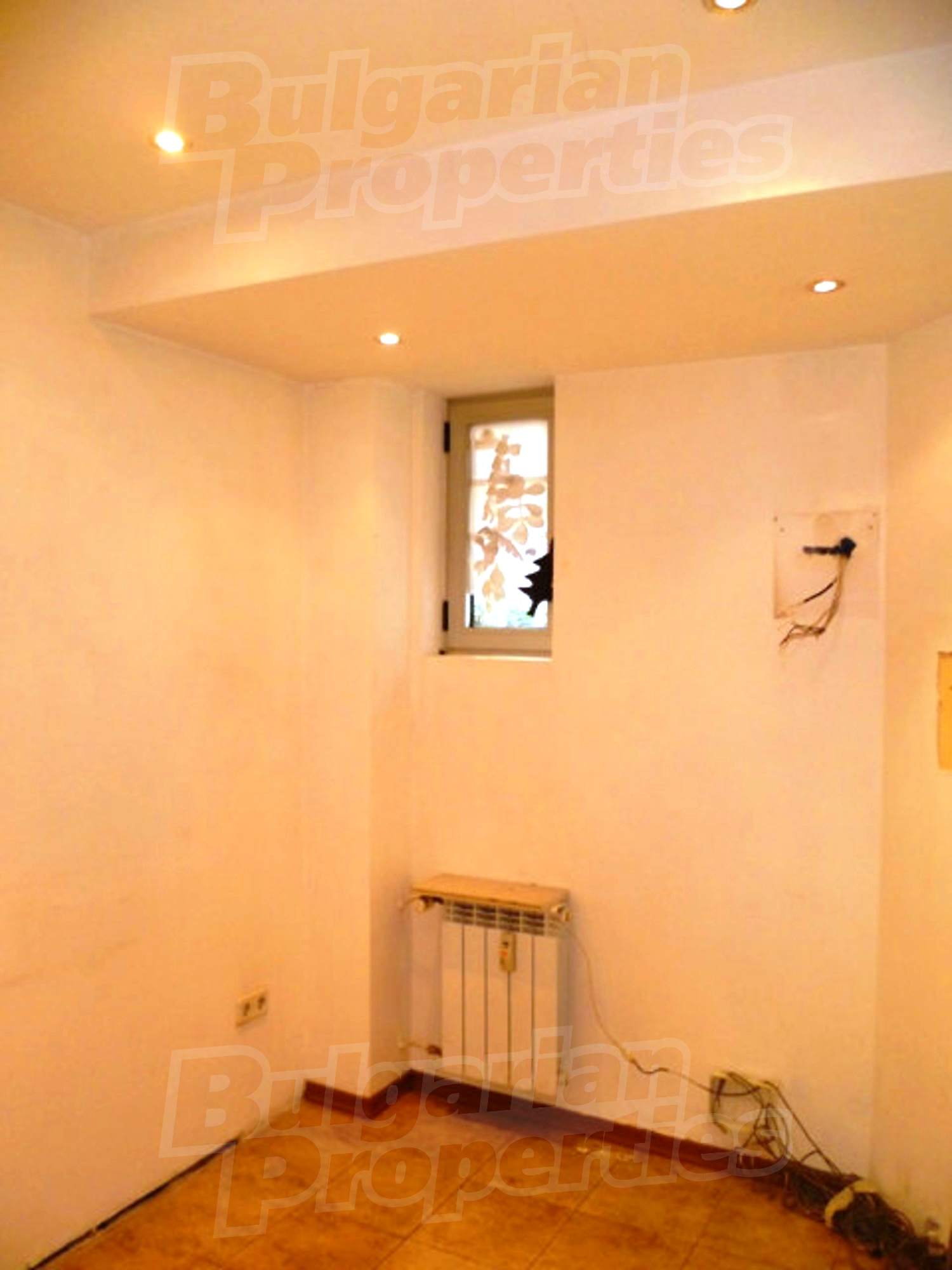 Gallery Picture 26