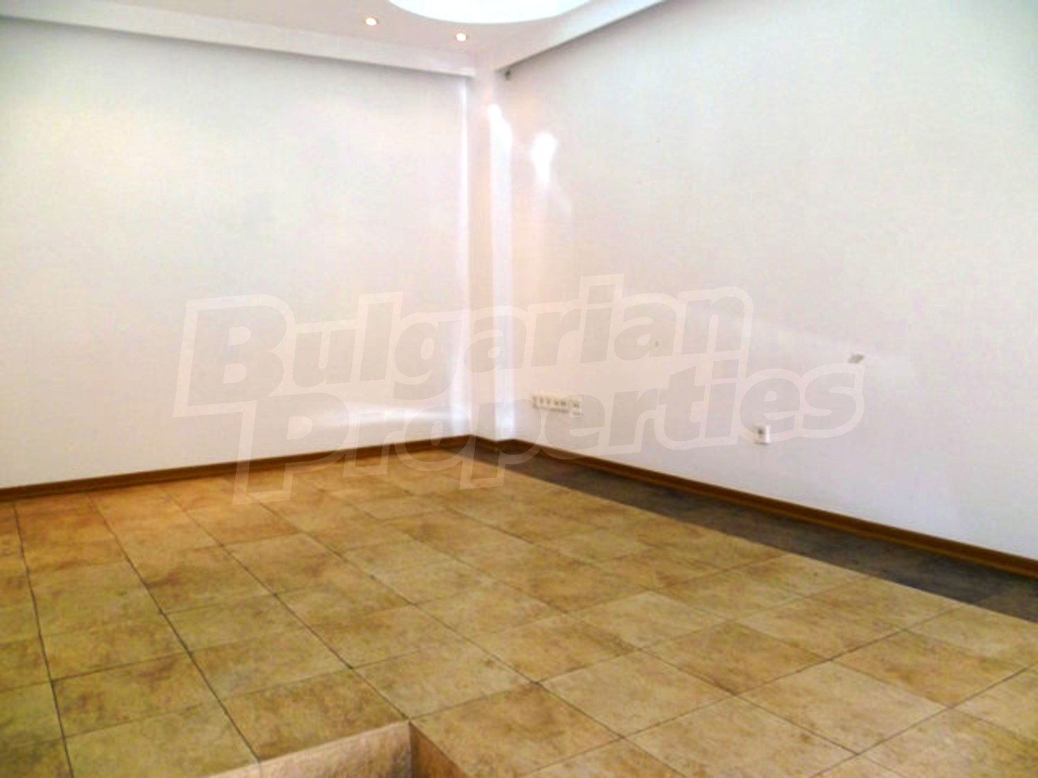 Gallery Picture 5