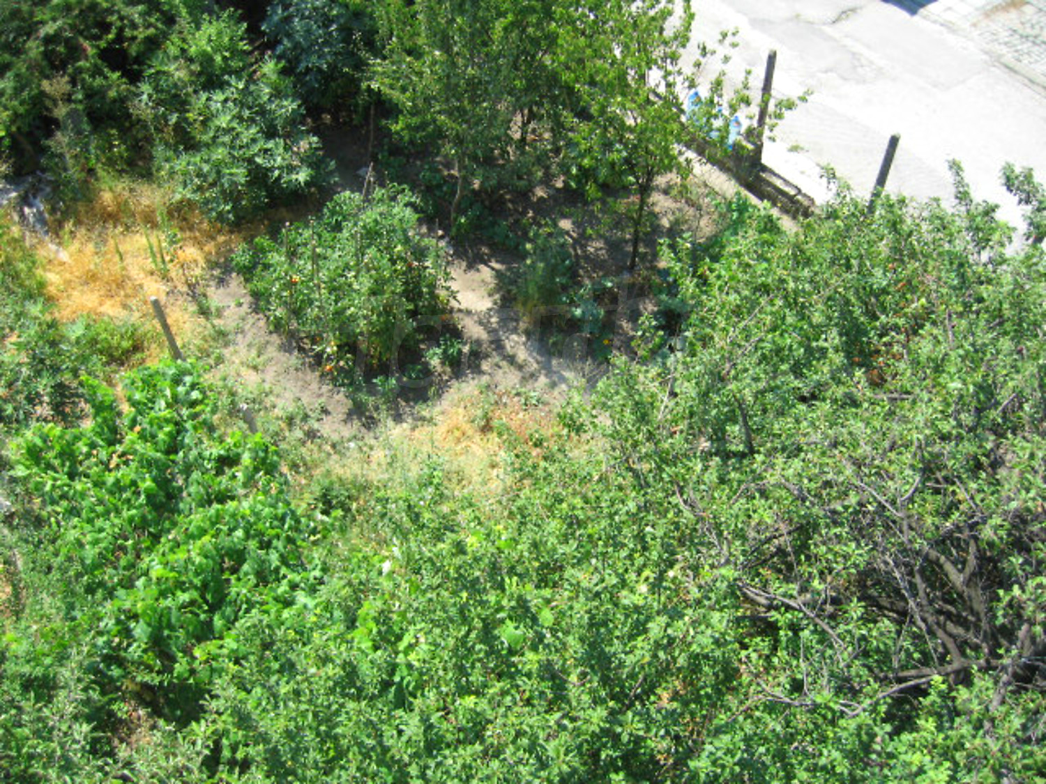Gallery Picture 23