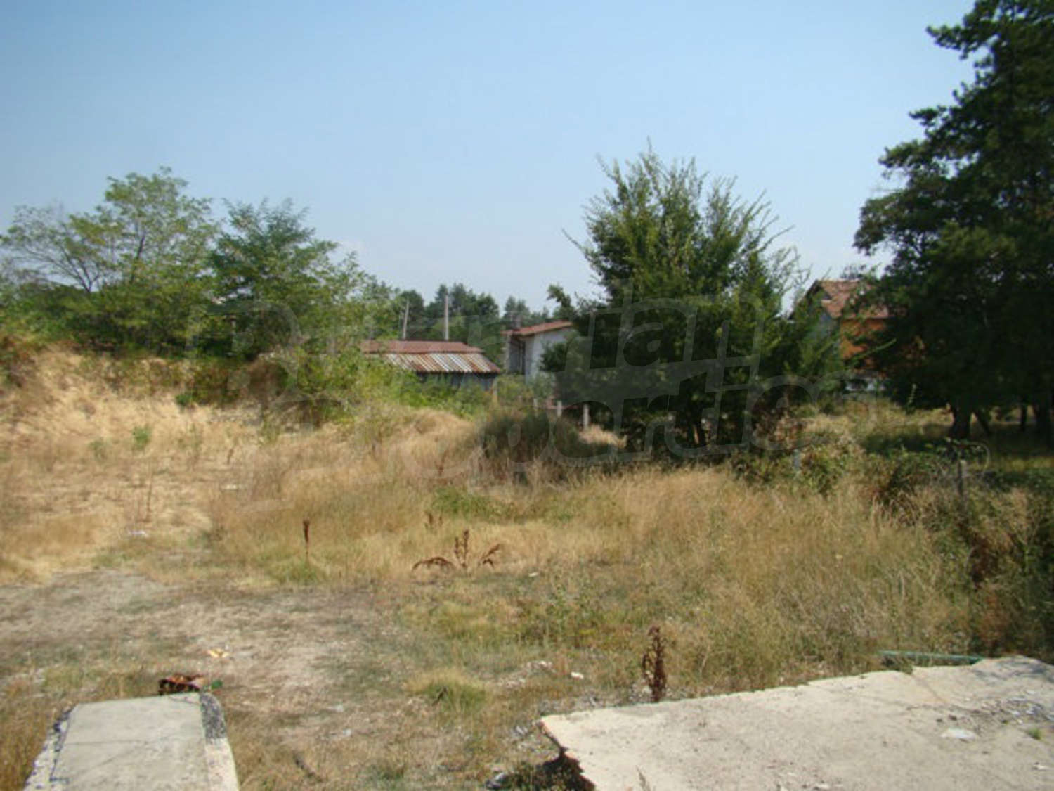 Gallery Picture 11