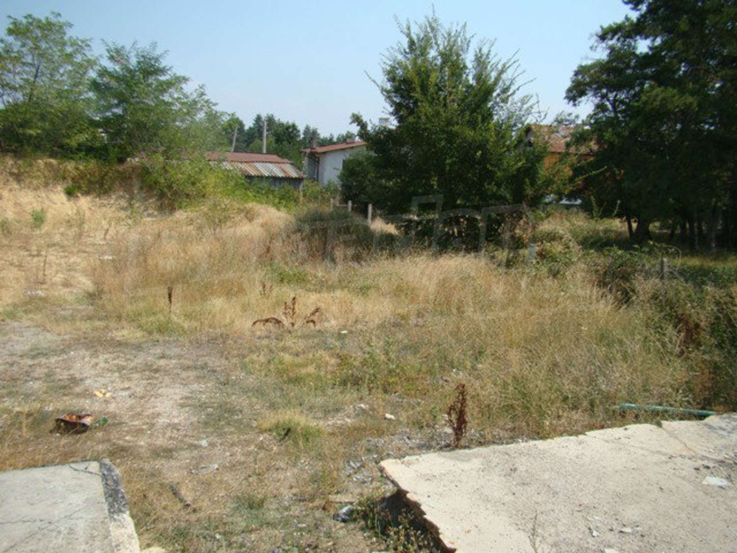 Gallery Picture 17