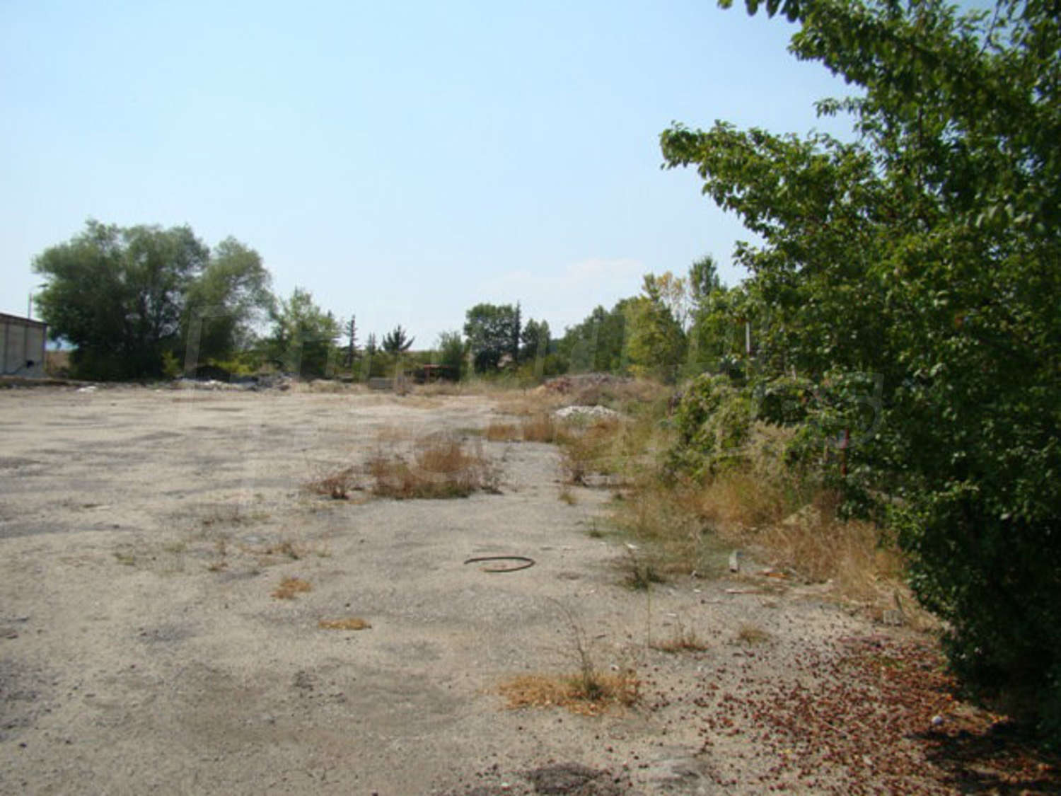 Gallery Picture 6