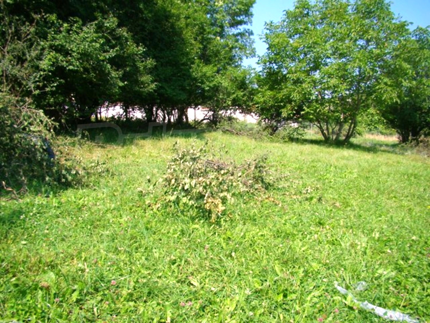 Gallery Picture 10