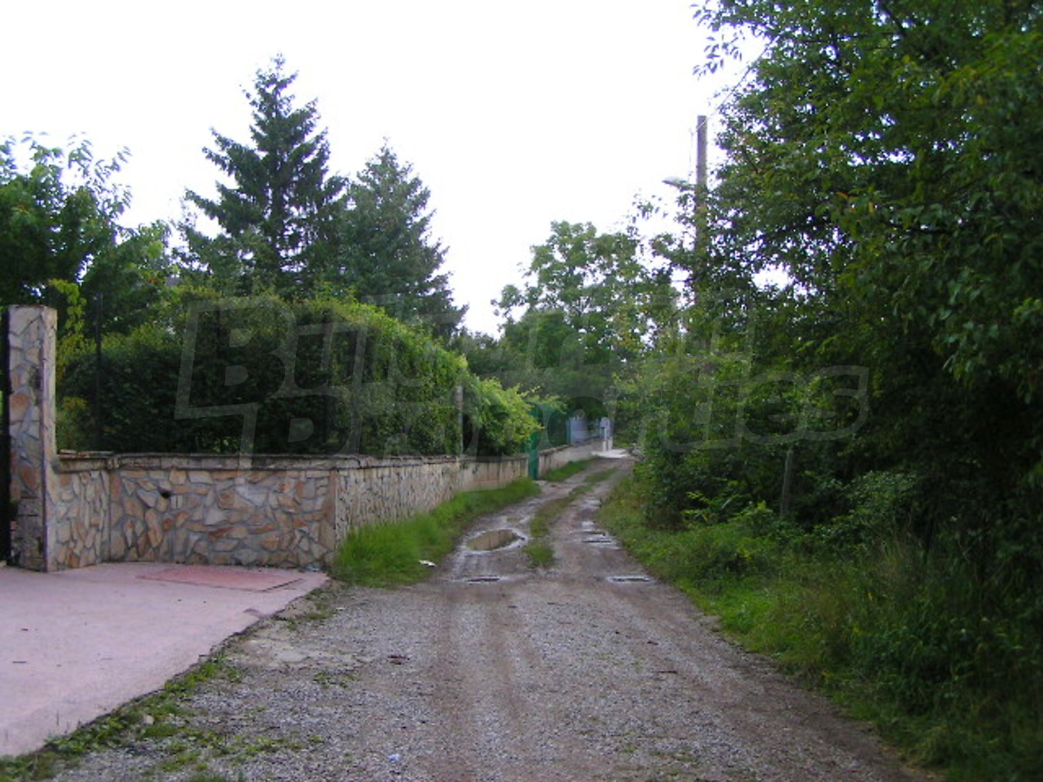 Gallery Picture 10