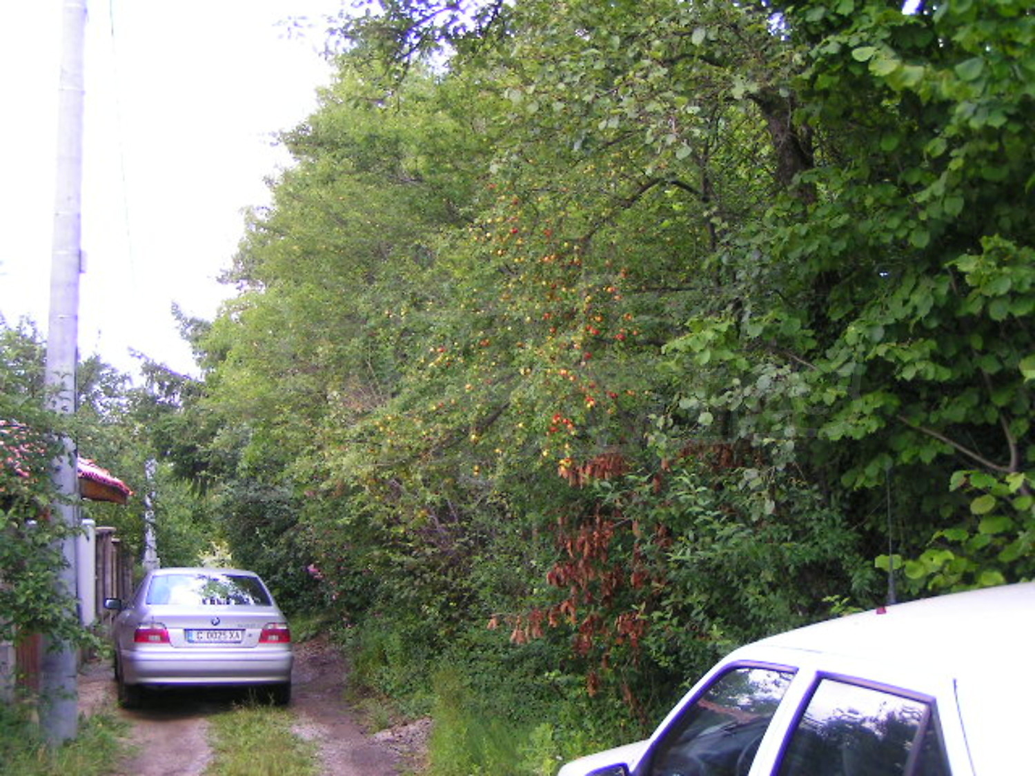 Gallery Picture 11