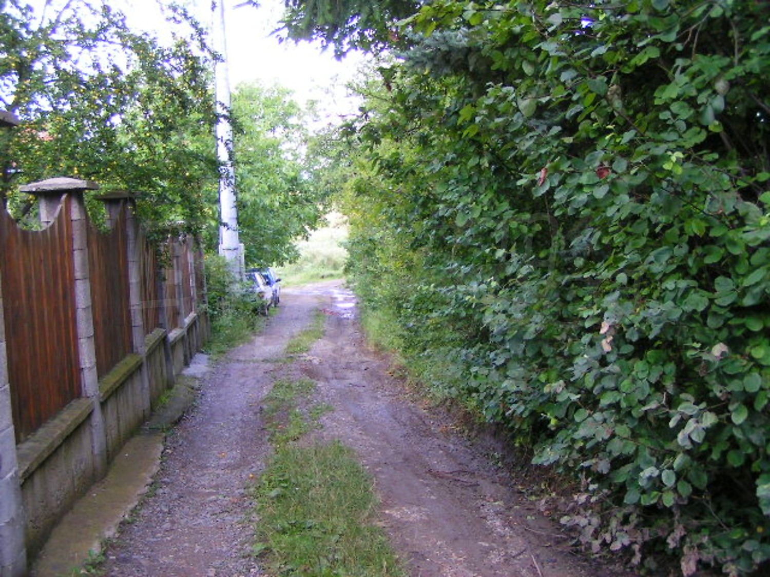 Gallery Picture 2