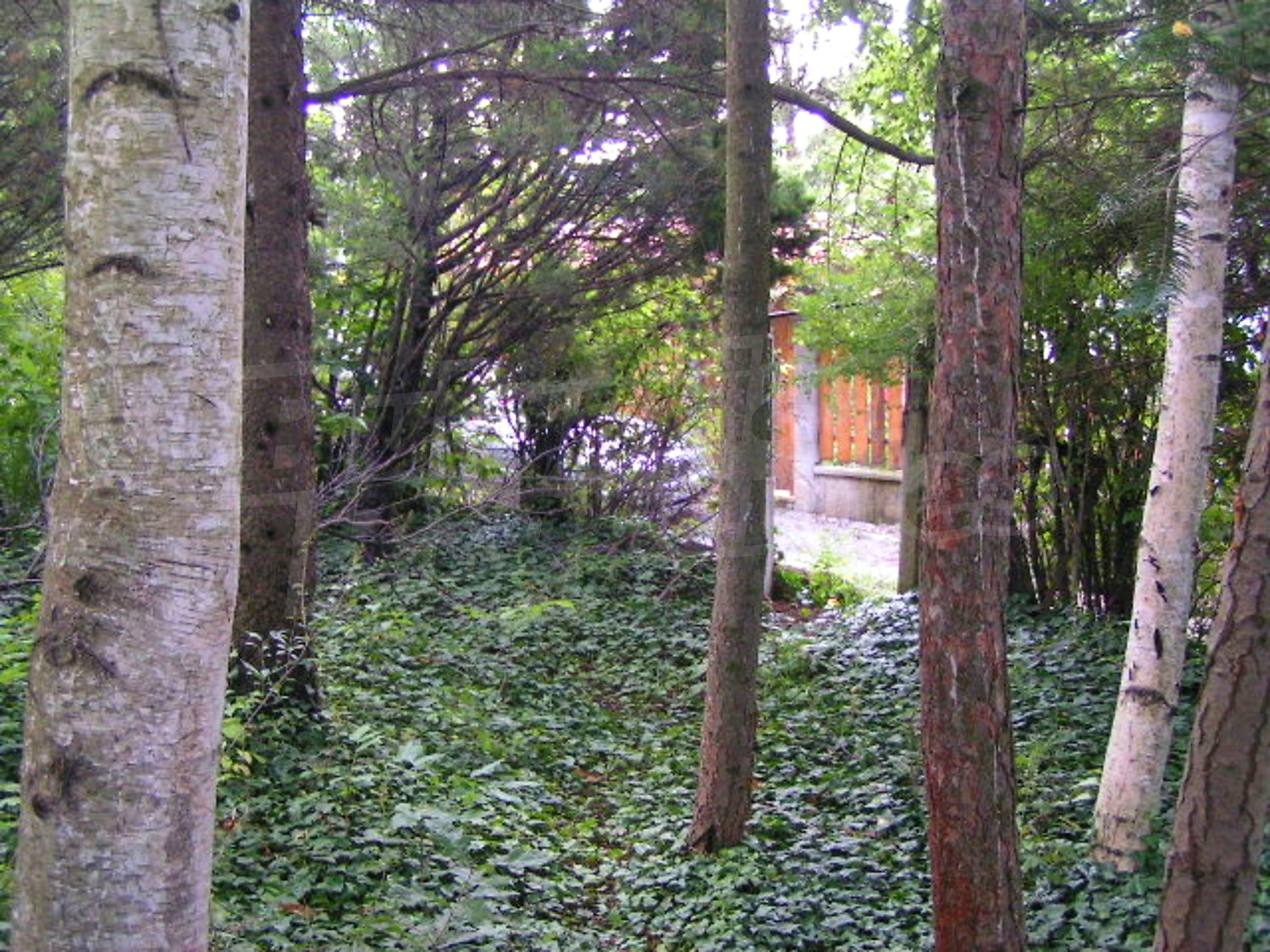 Gallery Picture 5