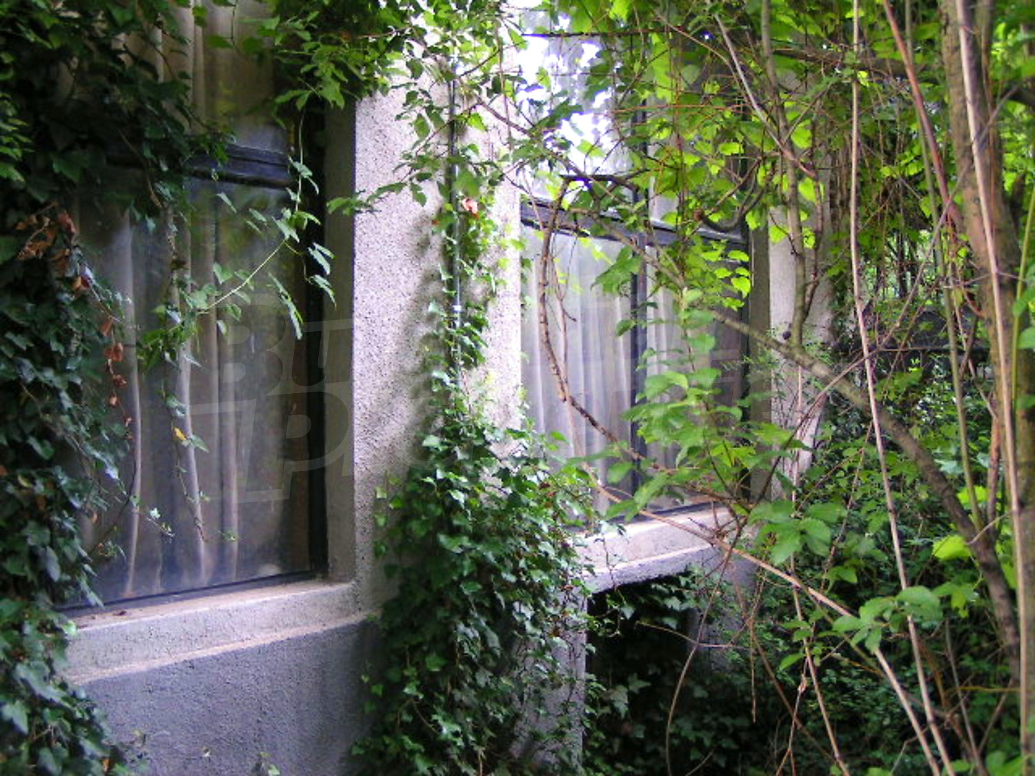 Gallery Picture 6