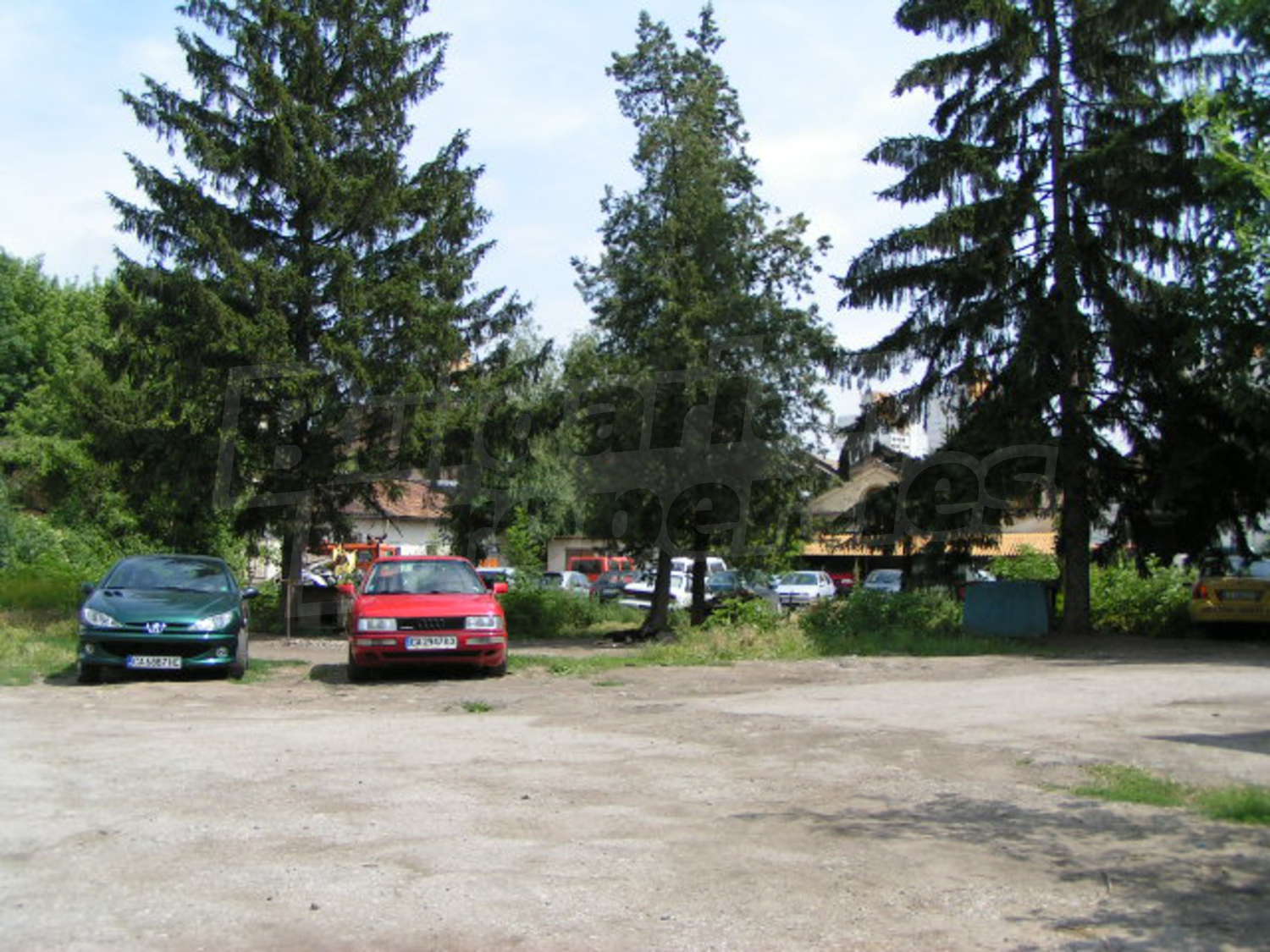 Gallery Picture 11