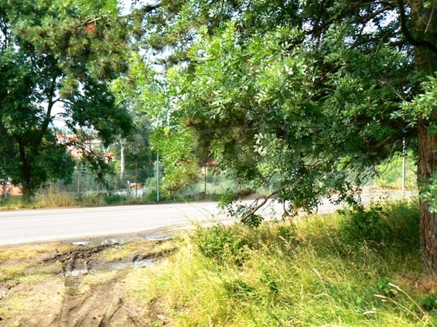 Gallery Picture 8