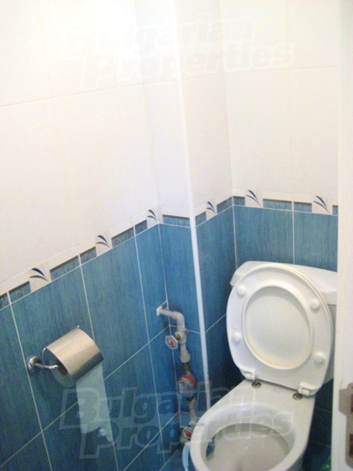 Gallery Picture 15