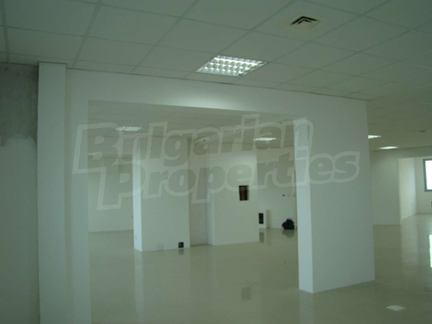Gallery Picture 15