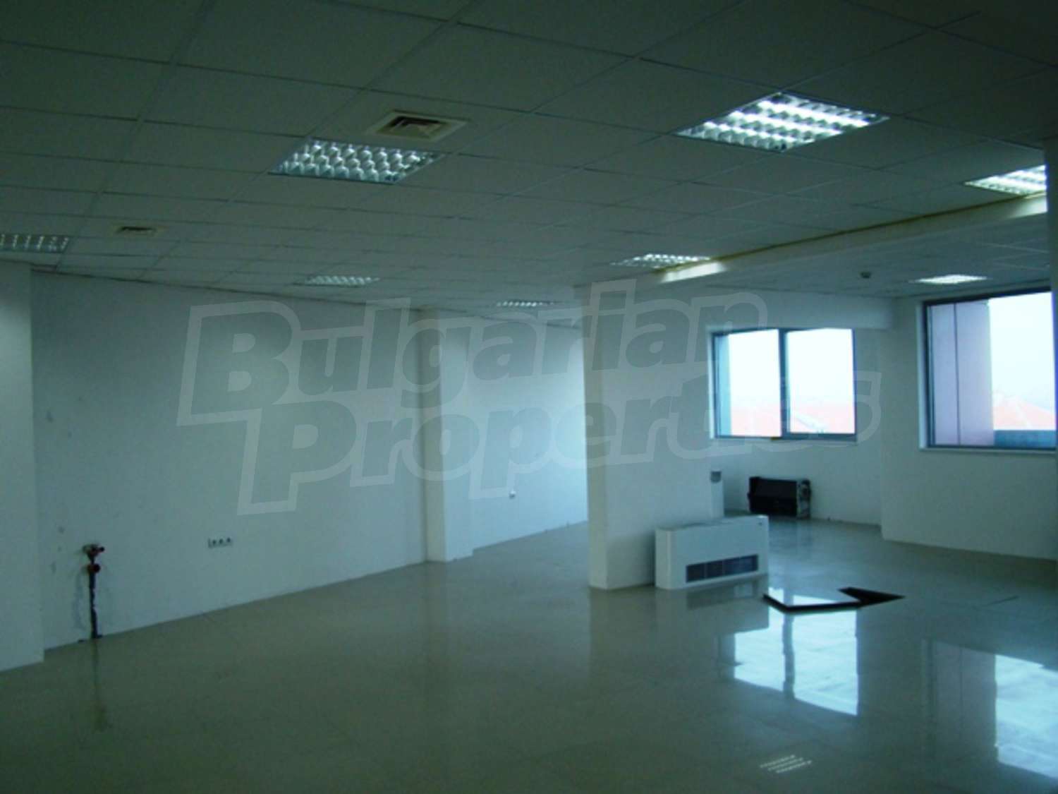 Gallery Picture 29