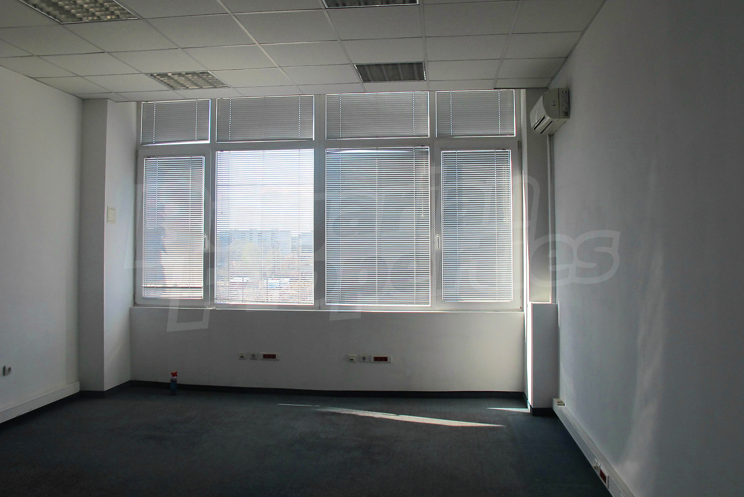 Gallery Picture 7