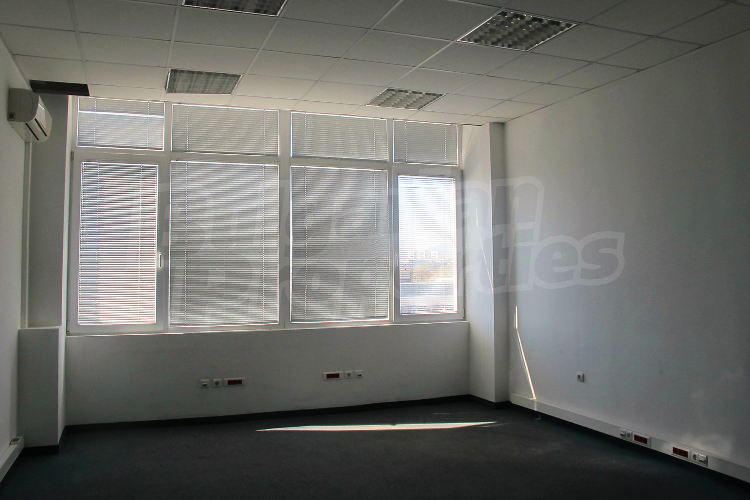 Gallery Picture 6